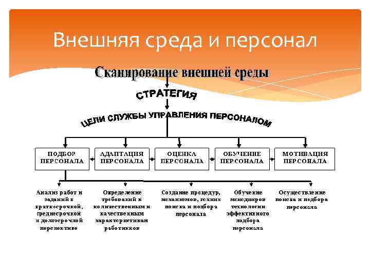 Внешняя среда и персонал 