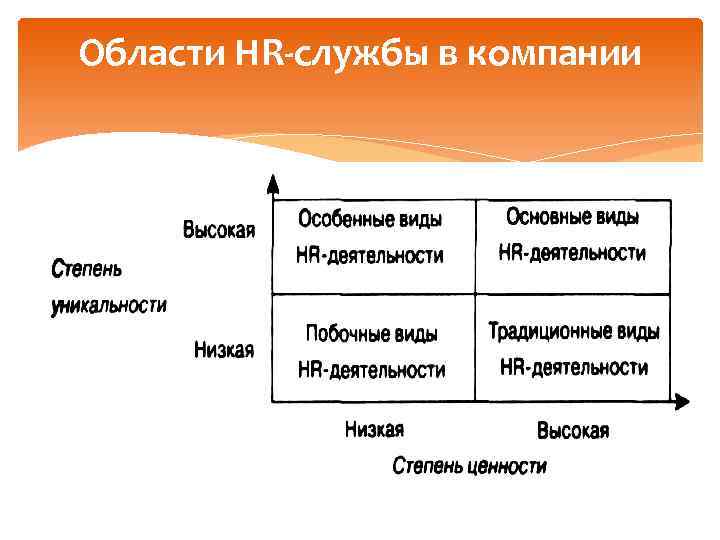Области HR службы в компании 