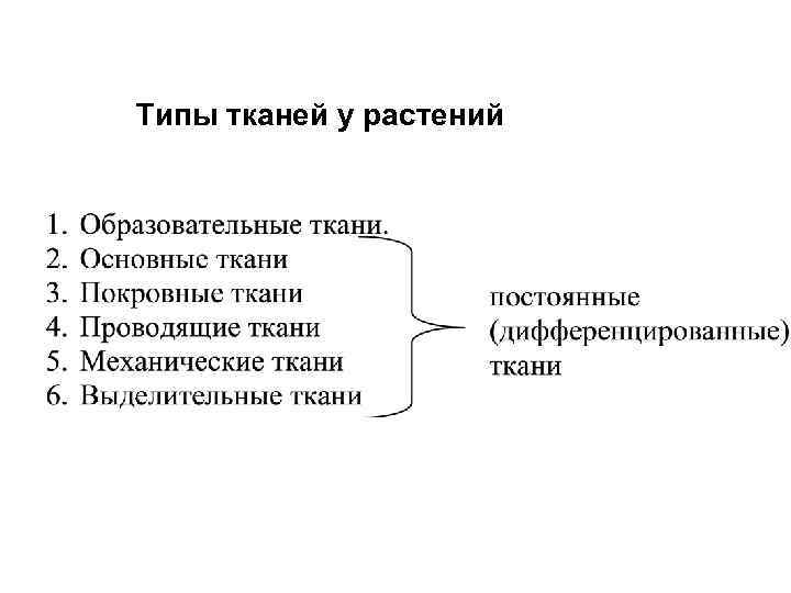 Типы тканей у растений 