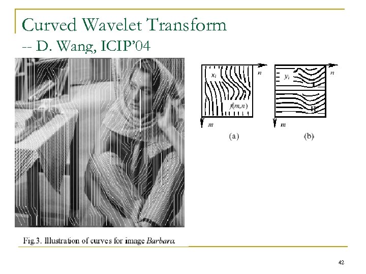 Curved Wavelet Transform -- D. Wang, ICIP’ 04 42 