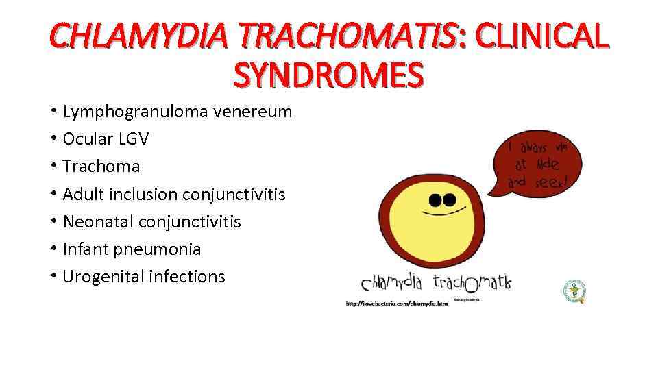 CHLAMYDIA TRACHOMATIS: CLINICAL SYNDROMES • Lymphogranuloma venereum • Ocular LGV • Trachoma • Adult