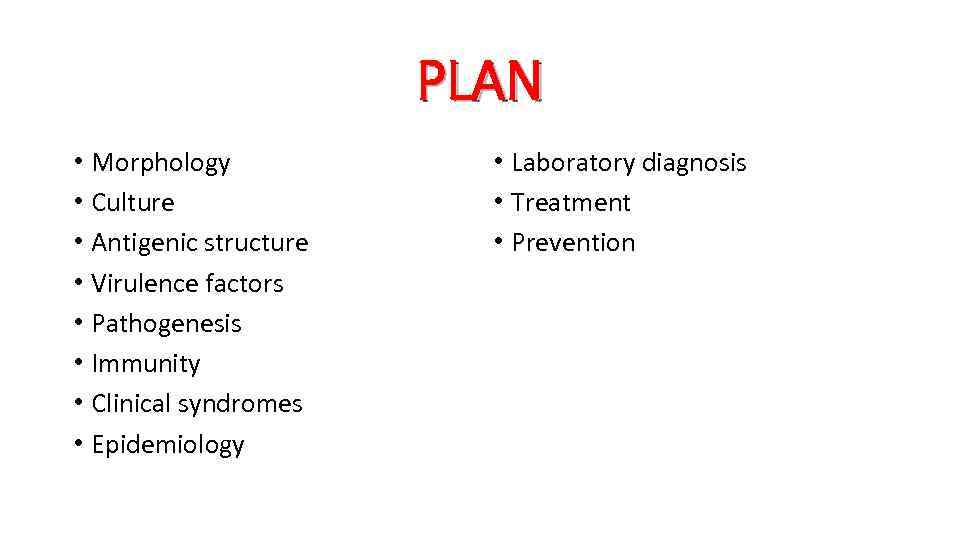 PLAN • Morphology • Culture • Antigenic structure • Virulence factors • Pathogenesis •