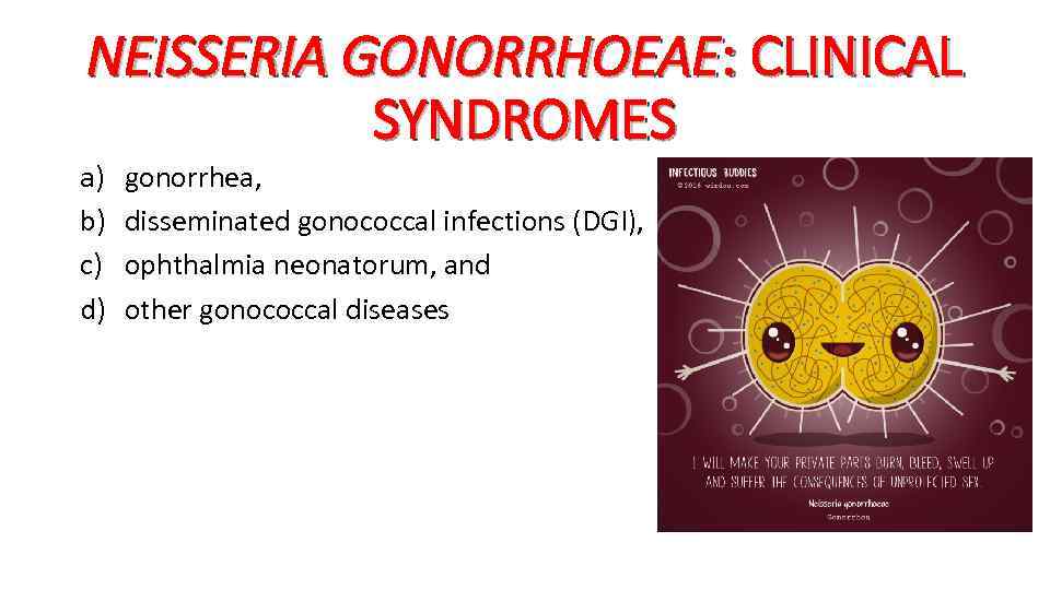 NEISSERIA GONORRHOEAE: CLINICAL SYNDROMES a) b) c) d) gonorrhea, disseminated gonococcal infections (DGI), ophthalmia