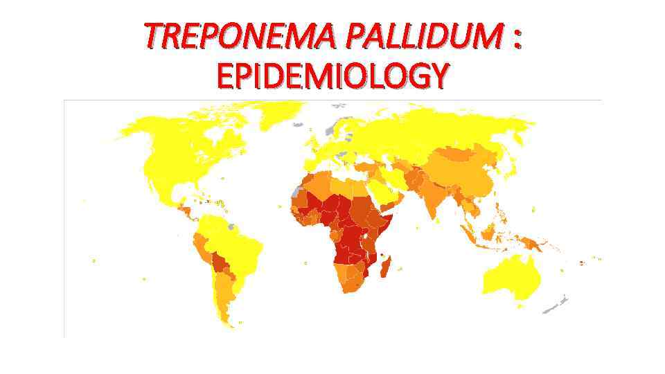 TREPONEMA PALLIDUM : EPIDEMIOLOGY 