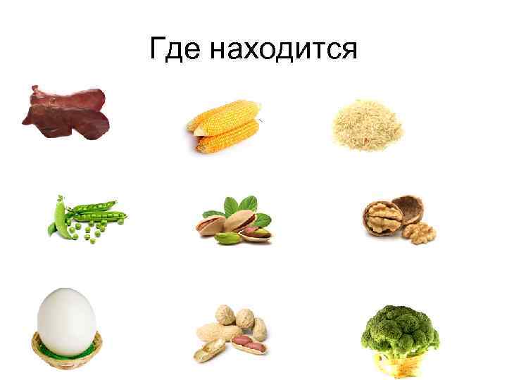 Где находится 