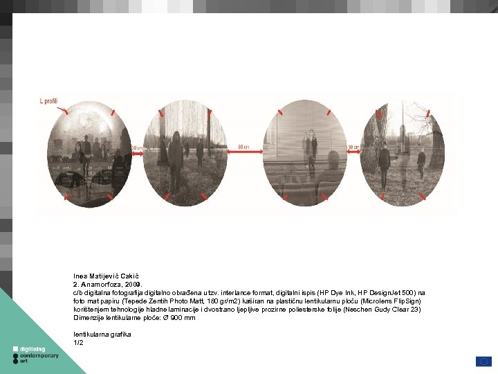 Ines Matijević Cakić 2. Anamorfoza, 2009. c/b digitalna fotografija digitalno obrađena u tzv. interlance