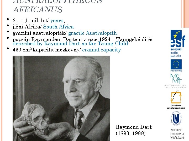 AUSTRALOPITHECUS AFRICANUS • 3 – 1, 5 mil. let/ years, • jižní Afrika/ South