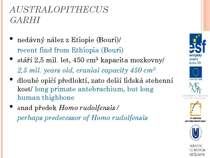 AUSTRALOPITHECUS GARHI • • nedávný nález z Etiopie (Bouri)/ recent find from Ethiopia (Bouri)