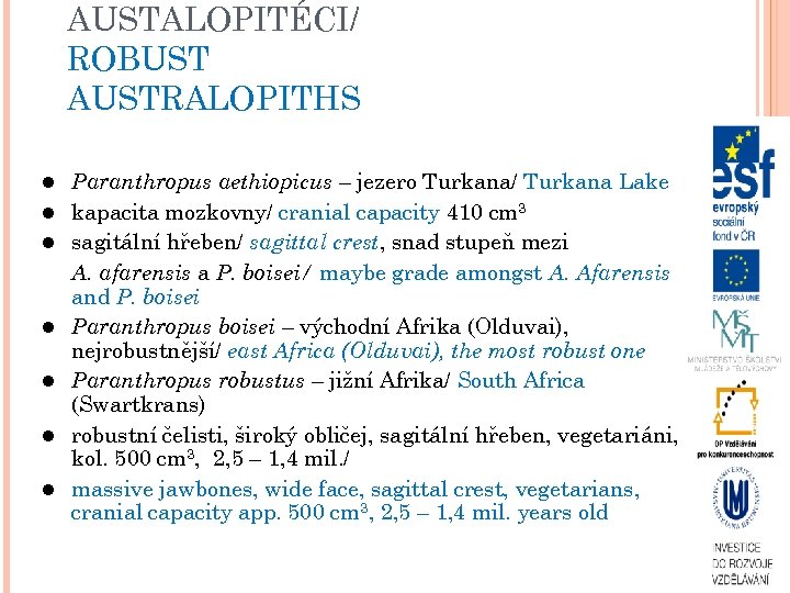 AUSTALOPITÉCI/ ROBUST AUSTRALOPITHS Paranthropus aethiopicus – jezero Turkana/ Turkana Lake kapacita mozkovny/ cranial capacity