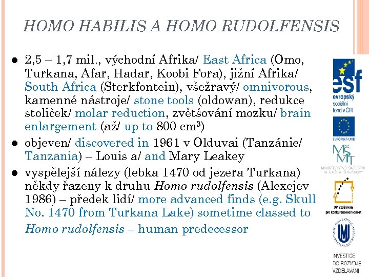 HOMO HABILIS A HOMO RUDOLFENSIS 2, 5 – 1, 7 mil. , východní Afrika/