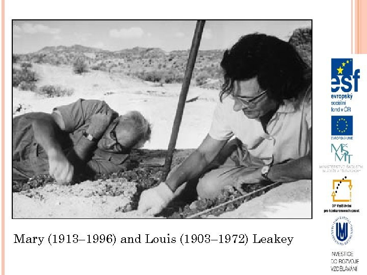 Mary (1913– 1996) and Louis (1903– 1972) Leakey 