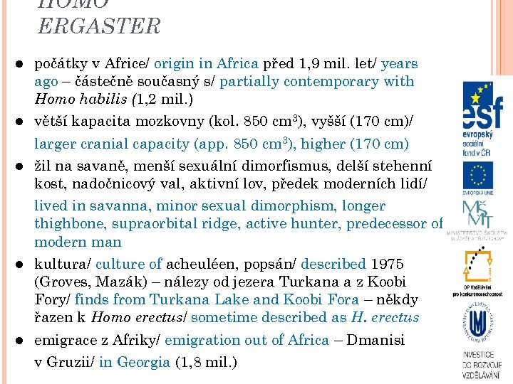 HOMO ERGASTER počátky v Africe/ origin in Africa před 1, 9 mil. let/ years