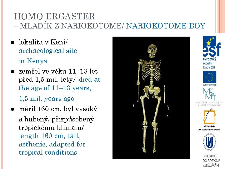HOMO ERGASTER – MLADÍK Z NARIOKOTOME/ NARIOKOTOME BOY lokalita v Keni/ archaeological site in