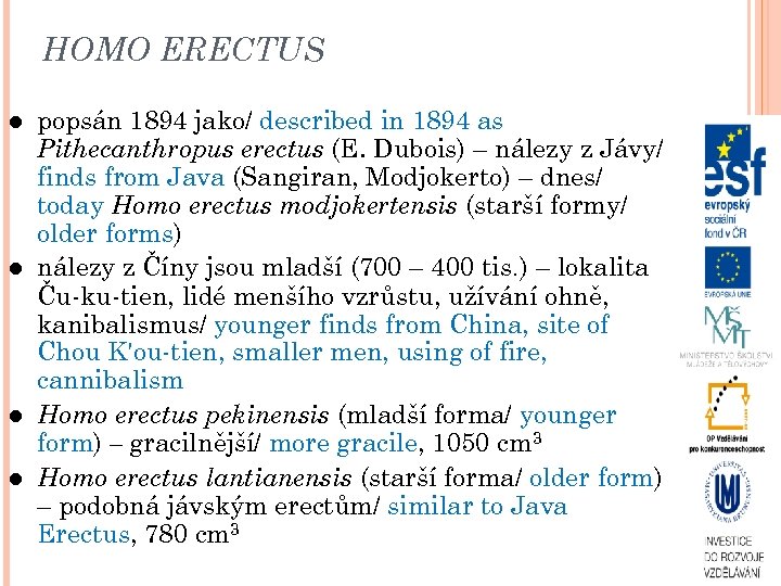 HOMO ERECTUS popsán 1894 jako/ described in 1894 as Pithecanthropus erectus (E. Dubois) –