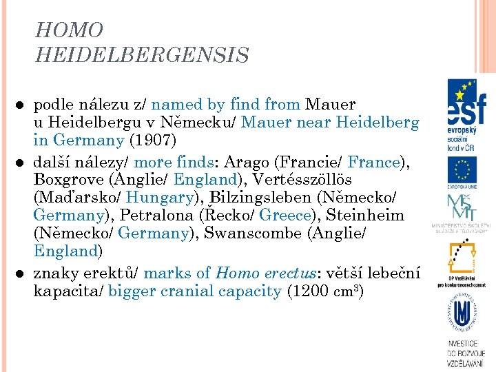 HOMO HEIDELBERGENSIS podle nálezu z/ named by find from Mauer u Heidelbergu v Německu/