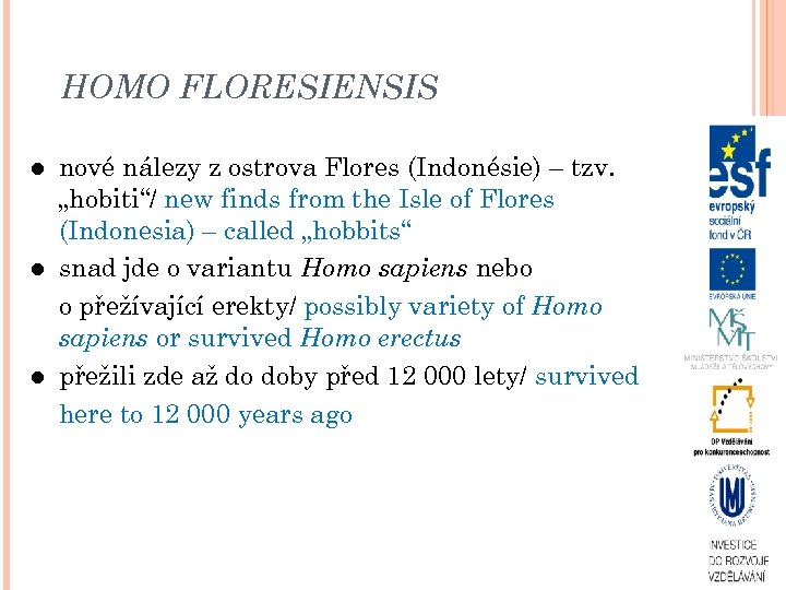 HOMO FLORESIENSIS nové nálezy z ostrova Flores (Indonésie) – tzv. „hobiti“/ new finds from