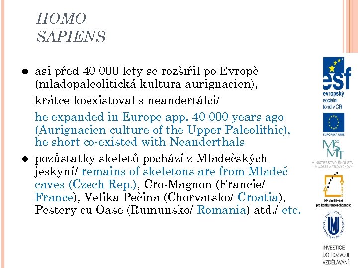 HOMO SAPIENS asi před 40 000 lety se rozšířil po Evropě (mladopaleolitická kultura aurignacien),