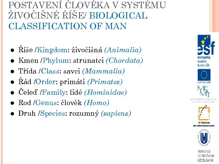 POSTAVENÍ ČLOVĚKA V SYSTÉMU ŽIVOČIŠNÉ ŘÍŠE/ BIOLOGICAL CLASSIFICATION OF MAN Říše /Kingdom: živočišná (Animalia)