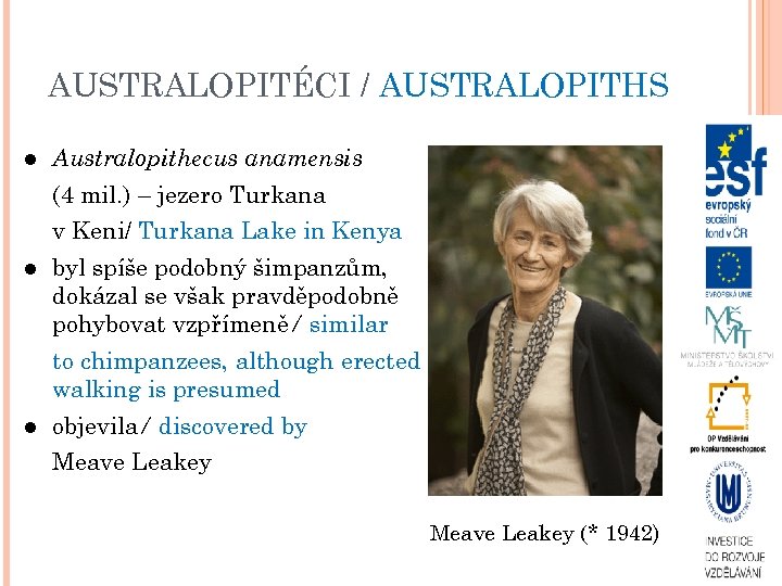 AUSTRALOPITÉCI / AUSTRALOPITHS Australopithecus anamensis (4 mil. ) – jezero Turkana v Keni/ Turkana