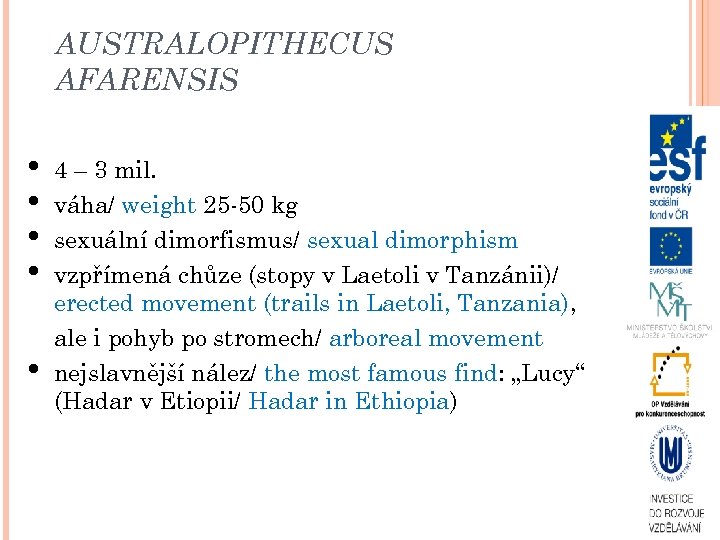 AUSTRALOPITHECUS AFARENSIS • • • 4 – 3 mil. váha/ weight 25 -50 kg