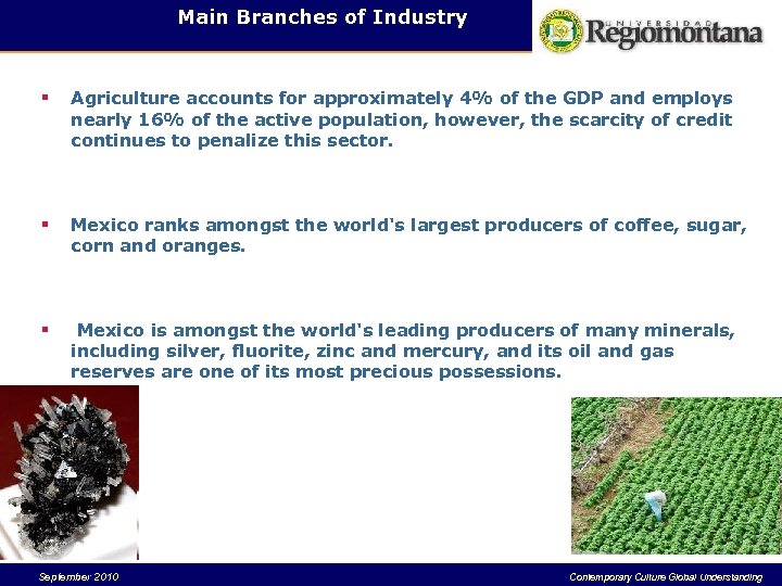 Main Branches of Industry § Agriculture accounts for approximately 4% of the GDP and
