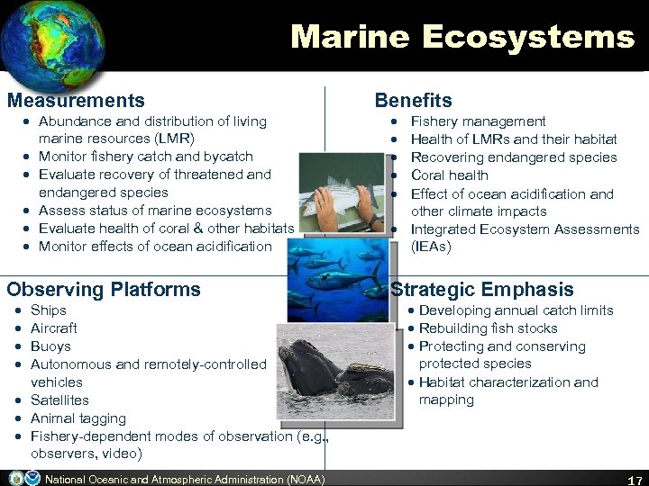 Marine Ecosystems Measurements · Abundance and distribution of living marine resources (LMR) · Monitor