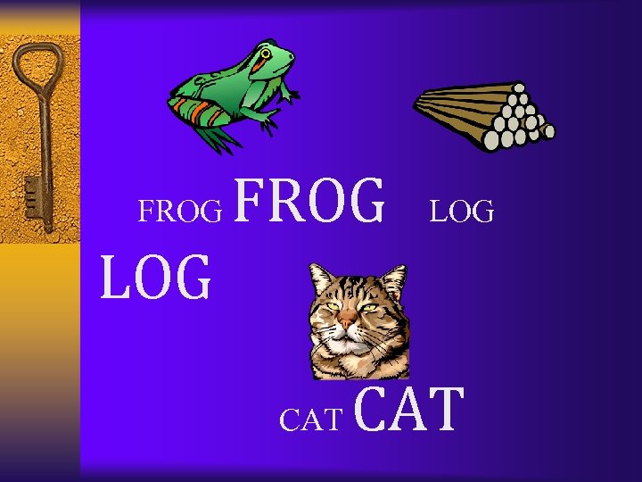  FROG LOG CAT 
