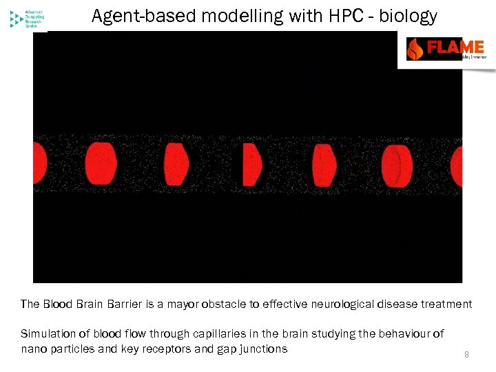 Agent-based modelling with HPC - biology The Blood Brain Barrier is a mayor obstacle