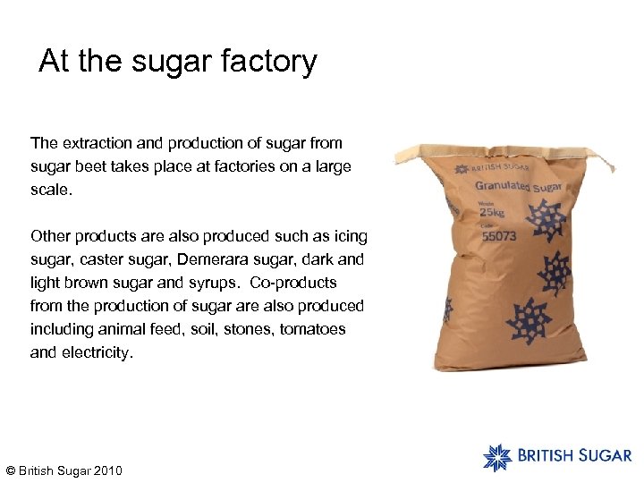 At the sugar factory The extraction and production of sugar from sugar beet takes