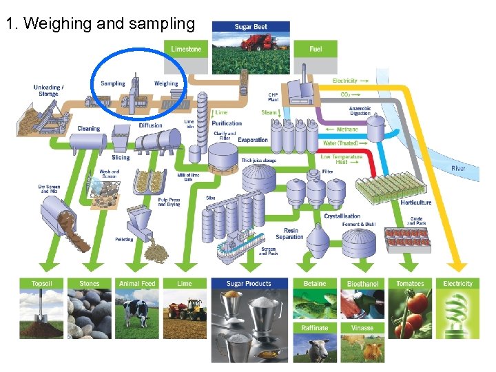 1. Weighing and sampling © British Sugar 2010 