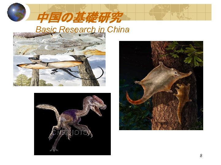 中国の基礎研究 Basic Research in China 8 
