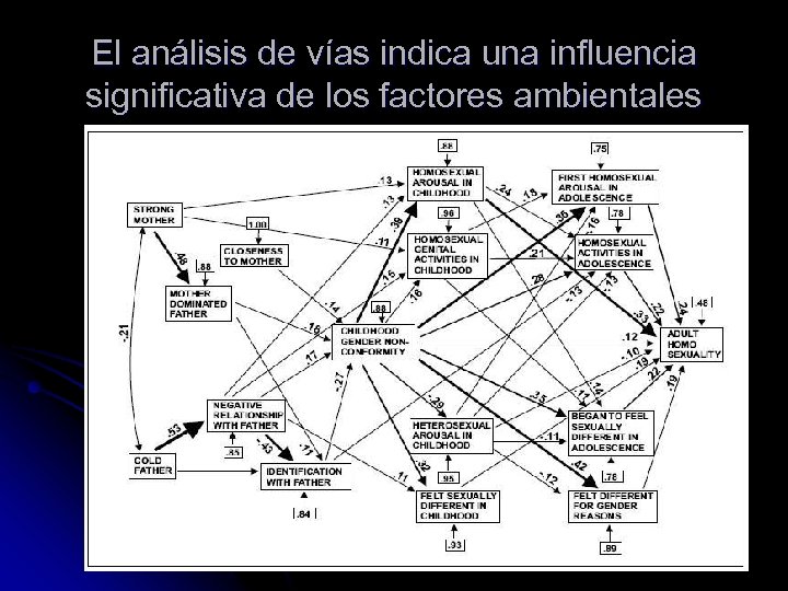 El análisis de vías indica una influencia significativa de los factores ambientales 