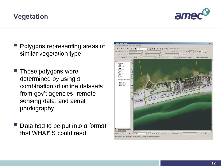 Vegetation § Polygons representing areas of similar vegetation type § These polygons were determined