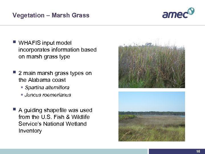 Vegetation – Marsh Grass § WHAFIS input model incorporates information based on marsh grass