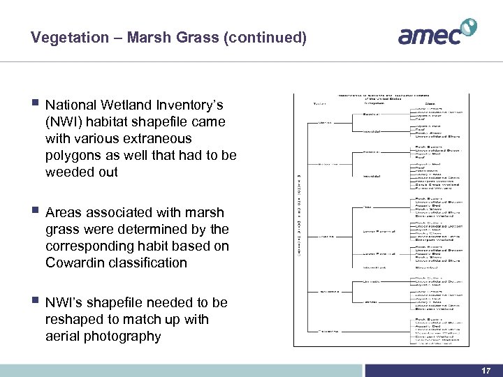 Vegetation – Marsh Grass (continued) § National Wetland Inventory’s (NWI) habitat shapefile came with