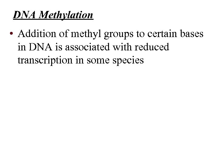 DNA Methylation • Addition of methyl groups to certain bases in DNA is associated