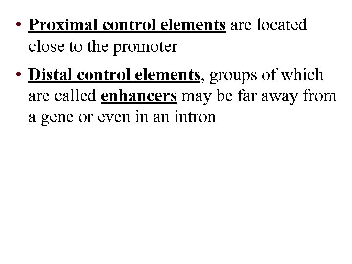  • Proximal control elements are located close to the promoter • Distal control