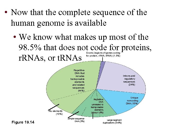  • Now that the complete sequence of the human genome is available •