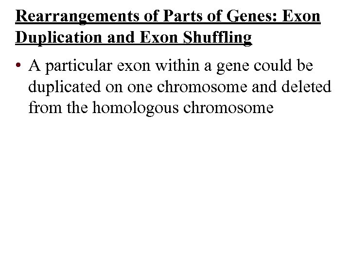 Rearrangements of Parts of Genes: Exon Duplication and Exon Shuffling • A particular exon