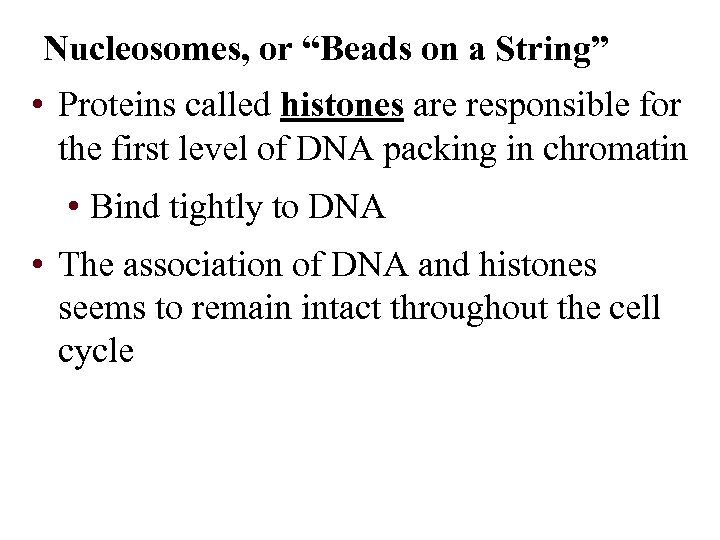 Nucleosomes, or “Beads on a String” • Proteins called histones are responsible for the