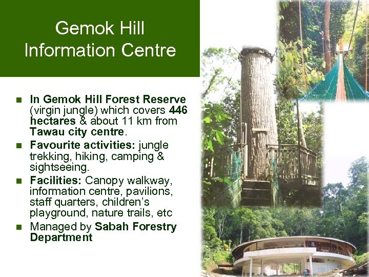 Gemok Hill Information Centre n n In Gemok Hill Forest Reserve (virgin jungle) which