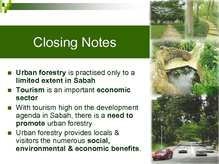 Closing Notes n n Urban forestry is practised only to a limited extent in