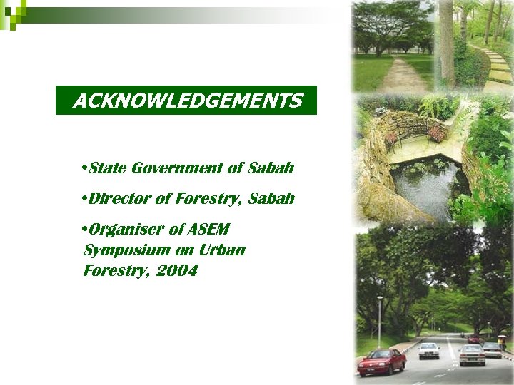 ACKNOWLEDGEMENTS • State Government of Sabah • Director of Forestry, Sabah • Organiser of