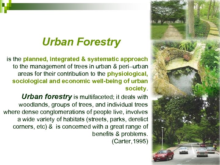 Urban Forestry is the planned, integrated & systematic approach to the management of trees