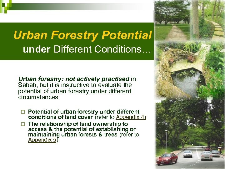 Urban Forestry Potential under Different Conditions… Urban forestry: not actively practised in Sabah, but