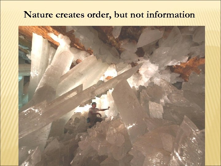 Nature creates order, but not information 