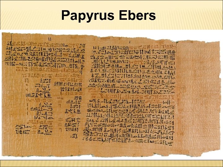Papyrus Ebers 