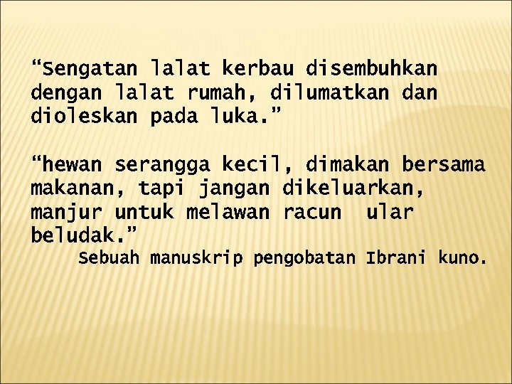 “Sengatan lalat kerbau disembuhkan dengan lalat rumah, dilumatkan dioleskan pada luka. ” “hewan serangga