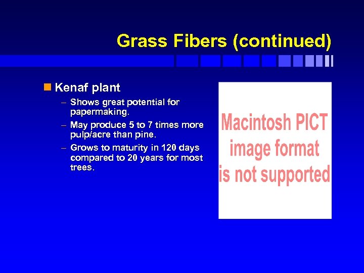 Grass Fibers (continued) n Kenaf plant – Shows great potential for papermaking. – May