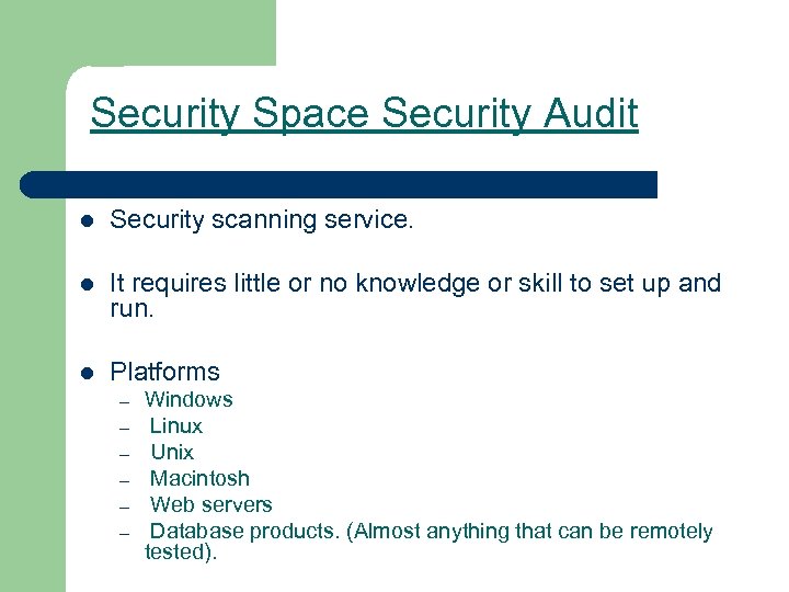 Security Space Security Audit l Security scanning service. l It requires little or no